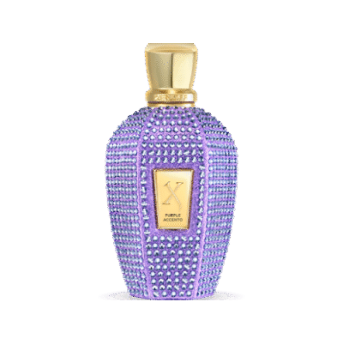 XERJOFF PURPLE ACCENTO EDP 100ML - Image 1