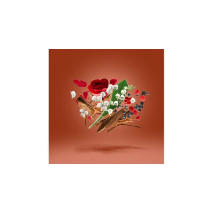 XERJOFF DAMAROSE PARFUM 50ML - Image 3