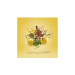 XERJOFF CSAMORTI DOLCE AMALFI EDP 100 ML - Image 3