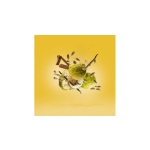 XERJOFF ERBA GOLD EDP 100ML - Image 3