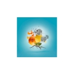 XERJOFF ERBA PURA EDP 100ML - Image 3