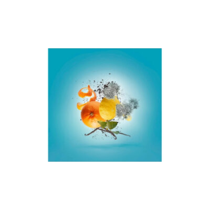 XERJOFF ERBA PURA EDP 50ML - Image 3