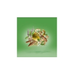 XERJOFF CASAMORATI FIERO EDP 100 ML - Image 3