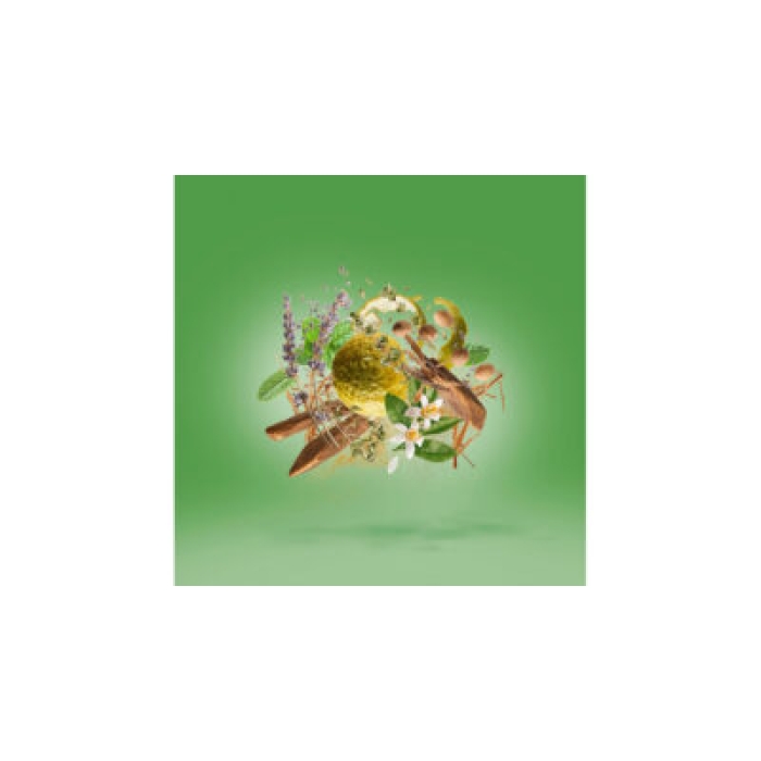 XERJOFF CASAMORATI FIERO EDP 100 ML - Image 3