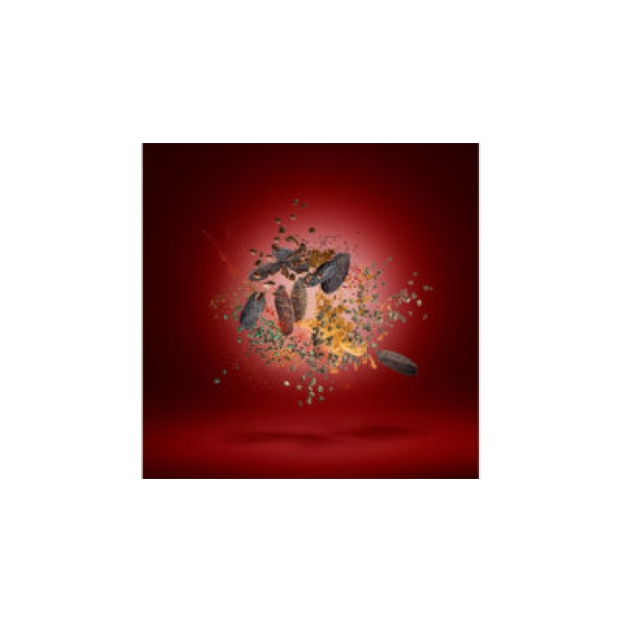 XERJOFF GOLDEN DALLAH PARFUM 50ML - Image 3