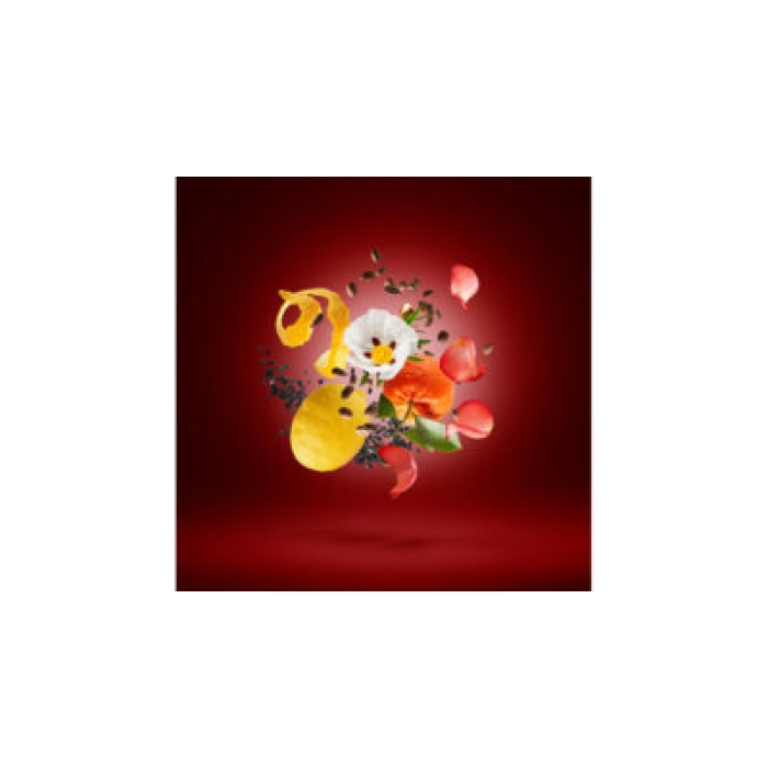 XERJOFF GOLDEN MOKA PARFUM 50ML - Image 4