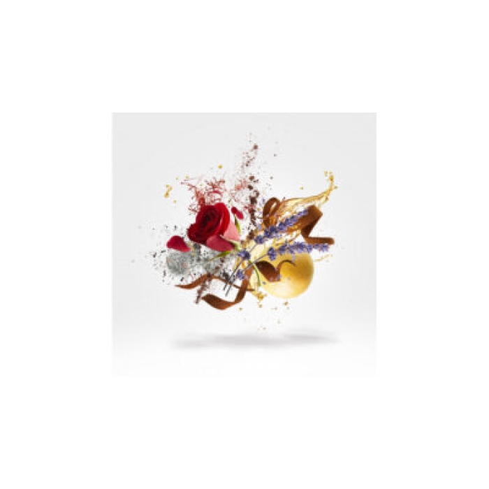 XERJOFF BLEND D.VNOGE LOUIS PARFUM 50ML - Image 3
