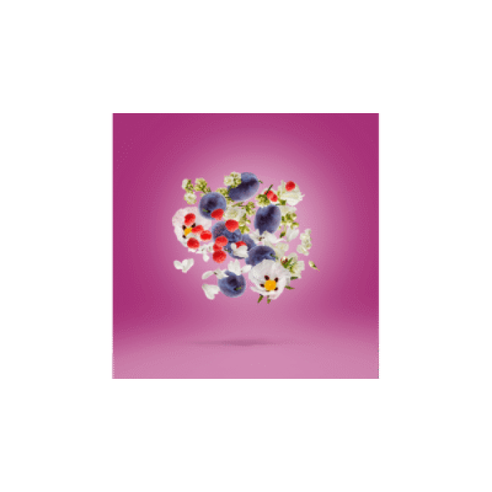 XERJOFF MUSE EDP 100ML - Image 3
