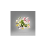 XERJOFF OUVERTURE EDP 50ML - Image 3