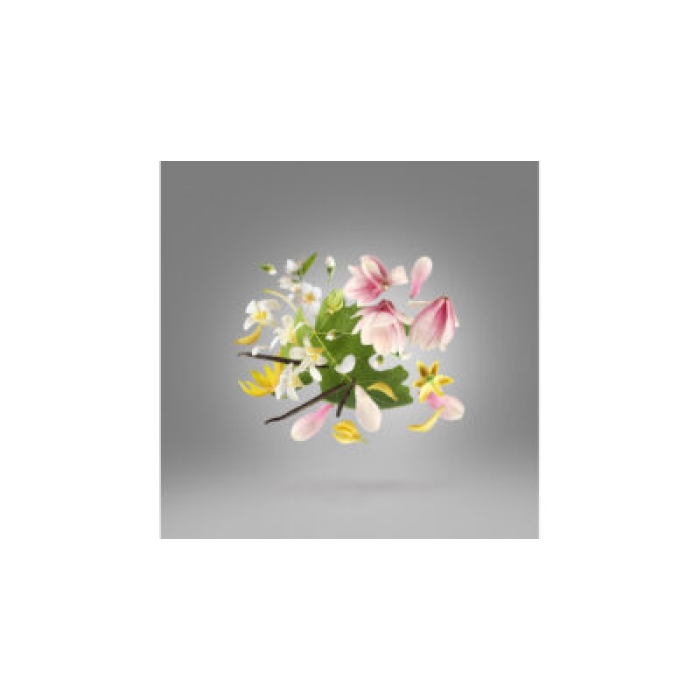 XERJOFF OUVERTURE EDP 50ML - Image 3