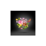 XERJOFF CASAMORATI REGIO EDP 100 ML - Image 3