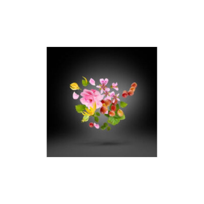 XERJOFF CASAMORATI REGIO EDP 100 ML - Image 3