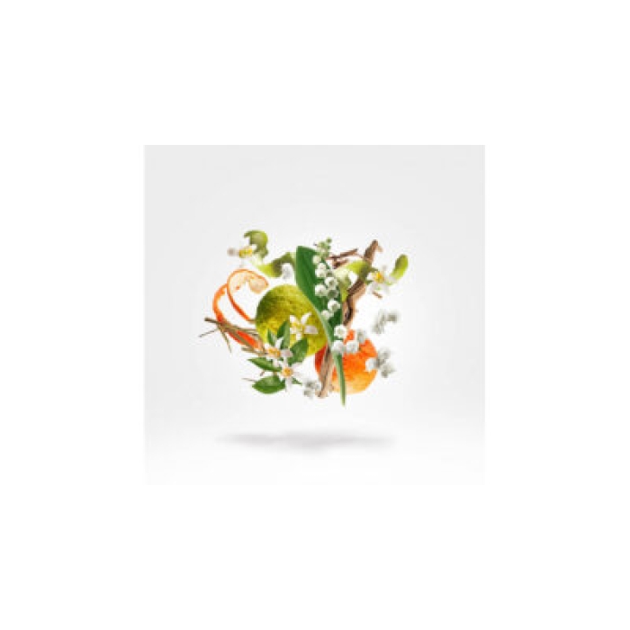 XERJOFF RENAISSANCE EDP 100ML - Image 3