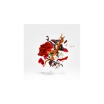 XERJOFF VIA CAVOUR 1 PARFUM 50ML - Image 3